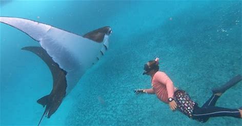 Snorkeling